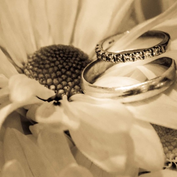 Meet your Posher, Amy - Picture 1 of 1